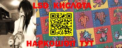 ГАЛЛЮЦИНОГЕННЫЕ ГРИБЫ Кингисепп