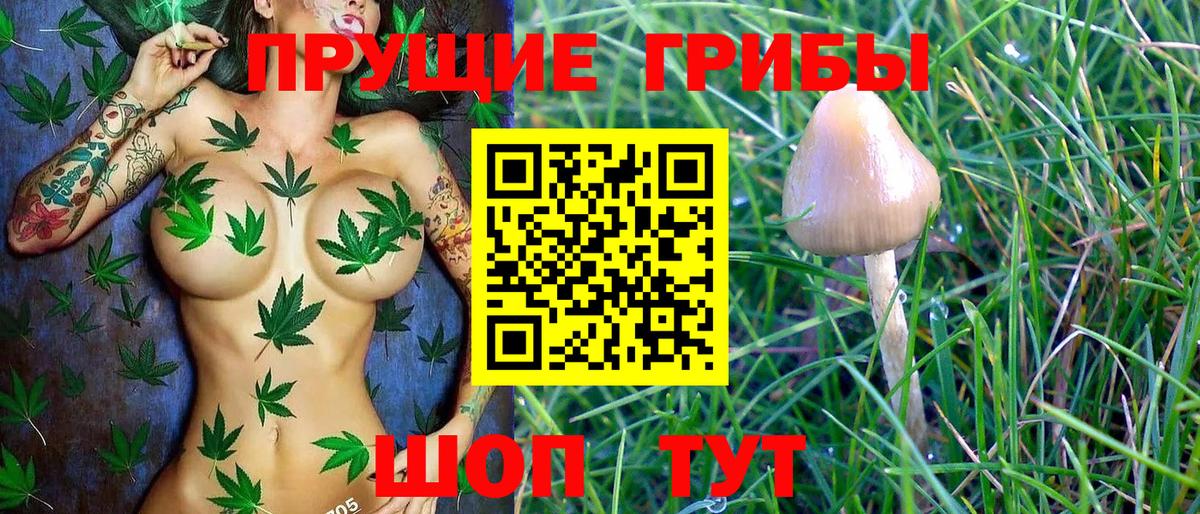 Псилоцибиновые грибы Psilocybe Красный Сулин
