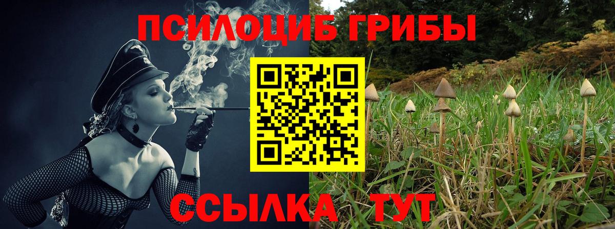 Красный Сулин  Галлюциногенные грибы Psilocybe  Галлюциногенные грибы Cubensis  Вход с VPN 